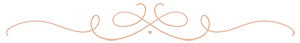 Volvemos divider